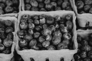 Bundles of blueberries in cartons