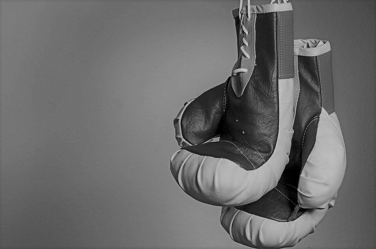 Hanging set of punching Gloves