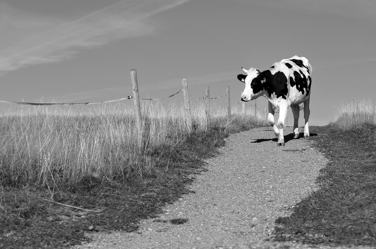 Activist Claims Oatly’s ESG Program is More Sizzle Than Steak