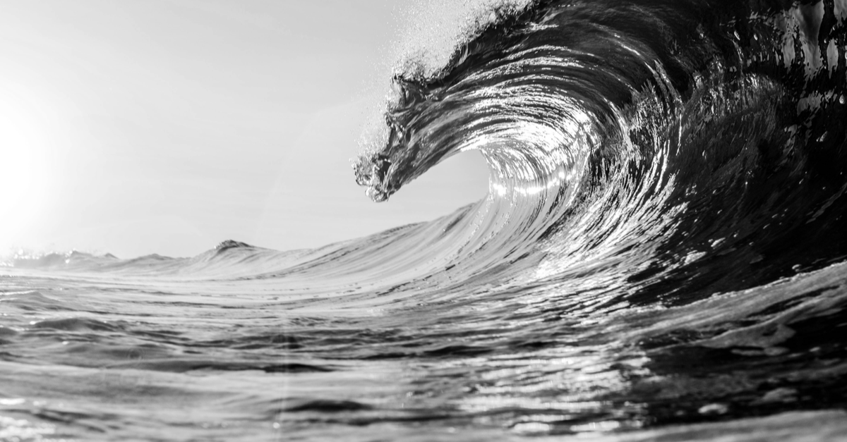 An ocean wave in black and white