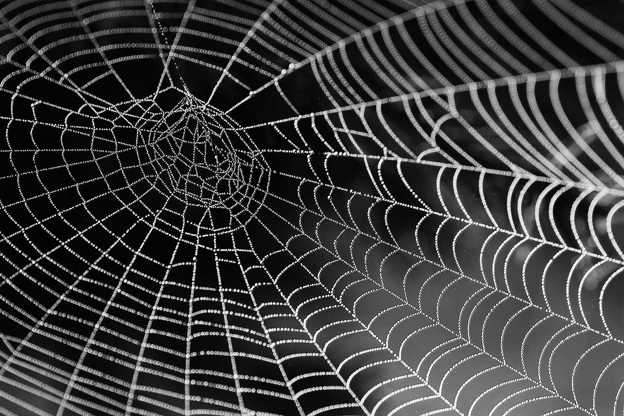 Spiderweb Pattern in black and white