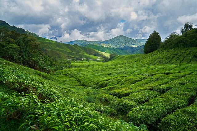 Lush, green and serene valley with rolling hills and a mountain in the background representing top risk factors of compliance