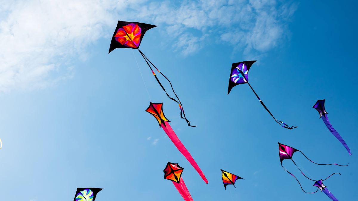 Kites soaring in the sky