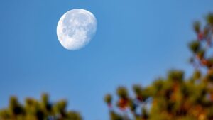 Accounting for Crypto: Regulatory Scrutiny Goes to the Moon