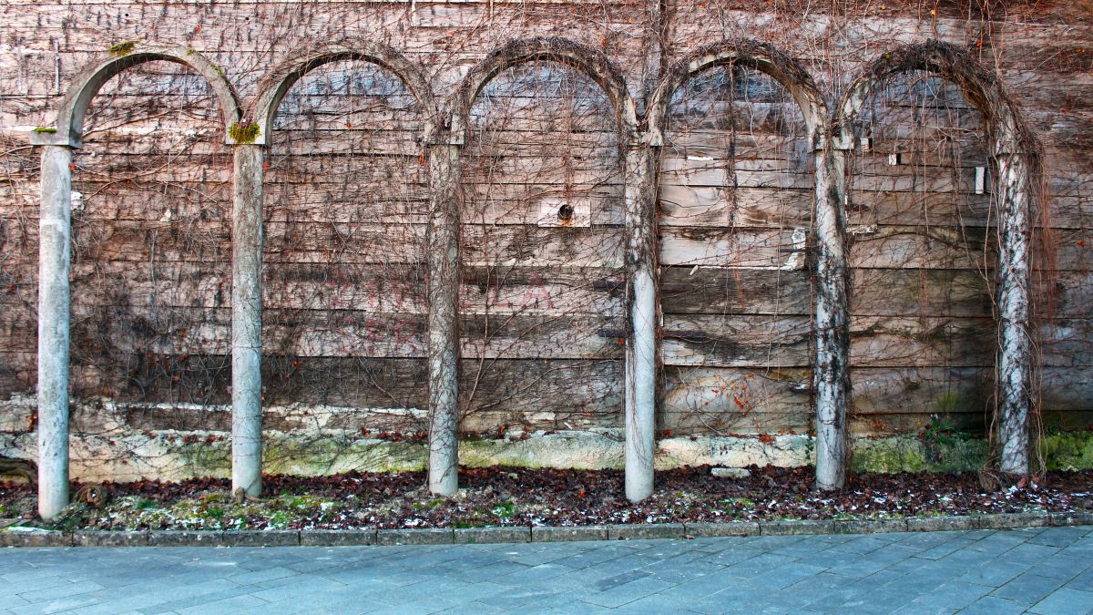 five wooden arches