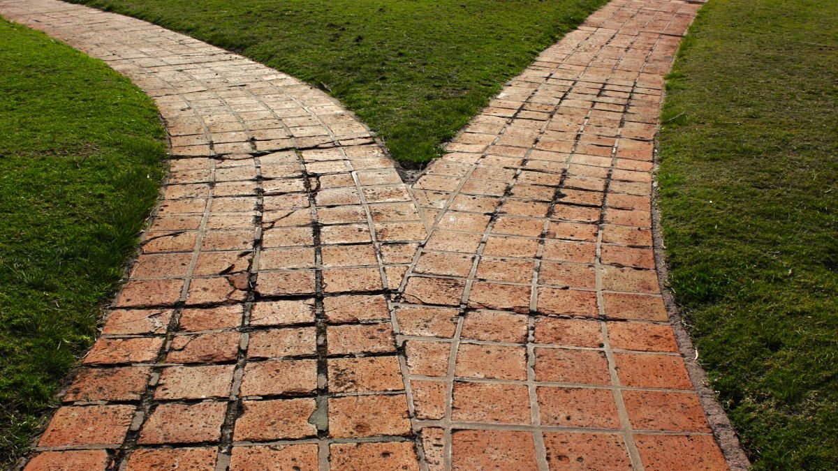 diverging paths