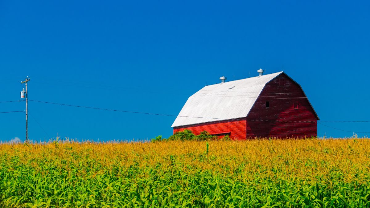 red barn