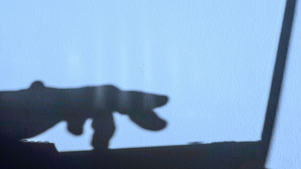 shadow of hand typing on laptop