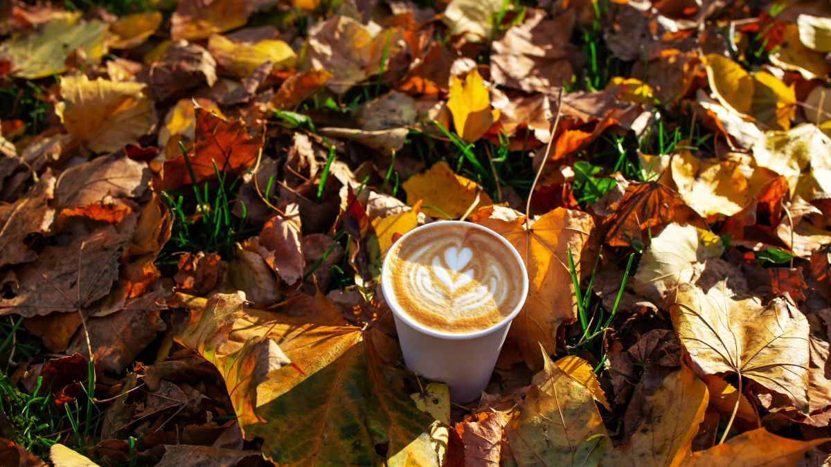 fall leaves and a cup of pumpkin spice latte